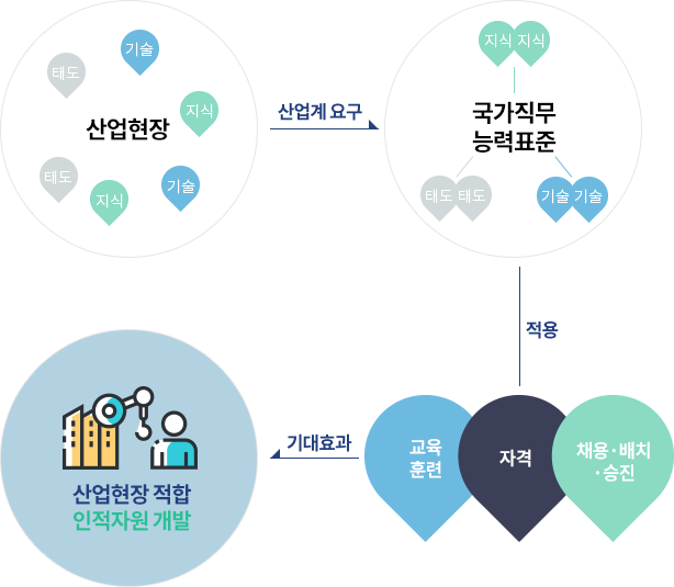 산업현장 → 산업계요구 → 국가직무 능력표준 → 적용 → 교육훈련, 자격, 채용.배치.승진 → 기대효과 → 산업현장 적합 인적자원 개발